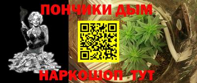 крисы Донской