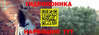 крисы Донской
