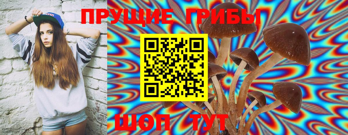 Мценск  Псилоцибиновые грибы GOLDEN TEACHER  Вход с VPN 